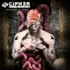 Cipher System - Communicate the Storms